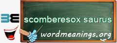 WordMeaning blackboard for scomberesox saurus